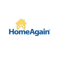 Home Again